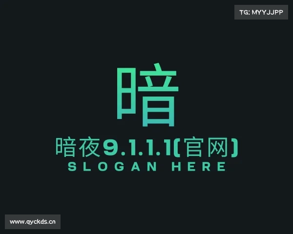 解读暗夜9.1.1.1(官网)入口