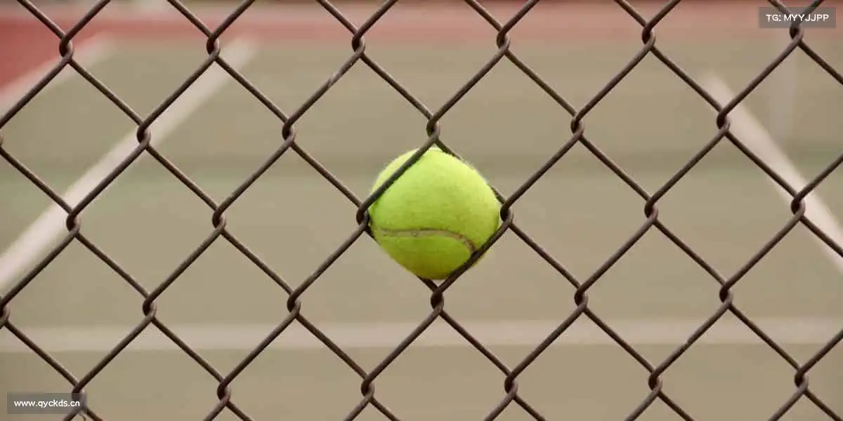 <strong>暗夜9.1.1.1(官网)入口</strong>以镜头为笔书写梦想，用影视力量陪伴每段成长旅程🌌